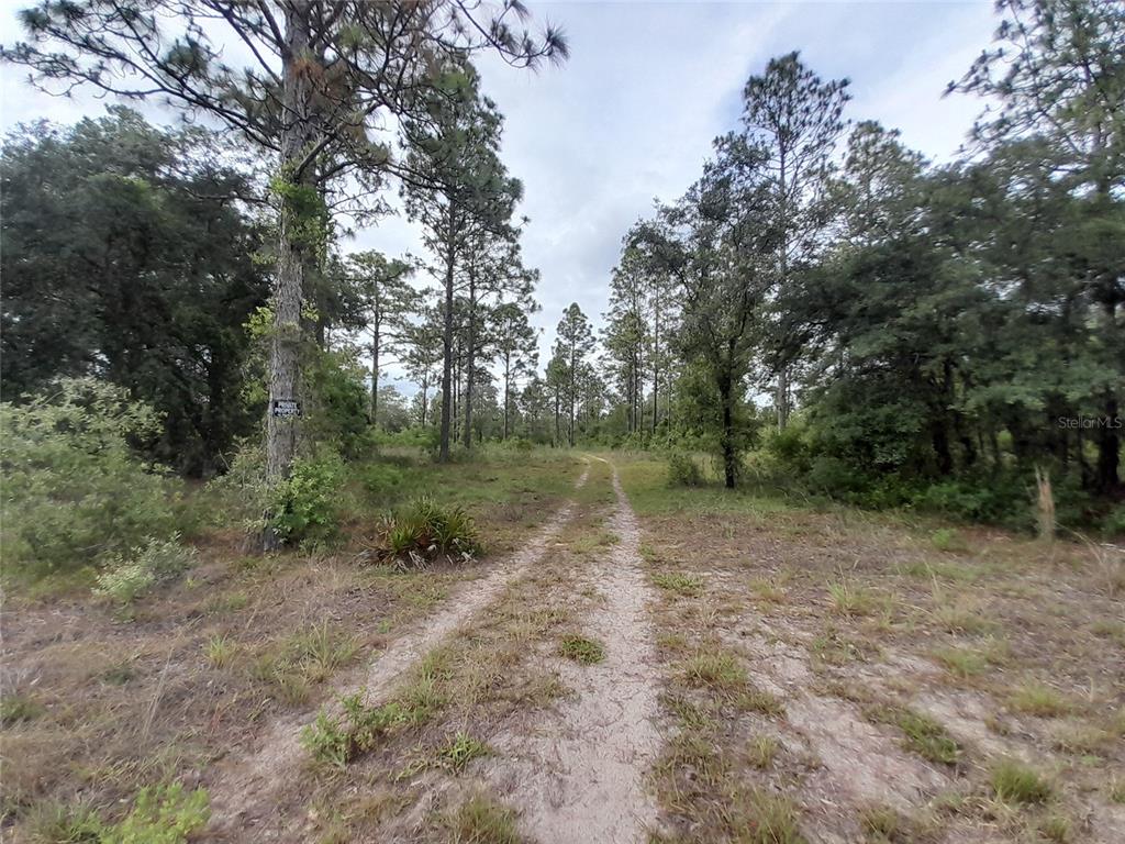 Tbd Southeast 71st Place Morriston, FL 32668 - Photo 8 of 9