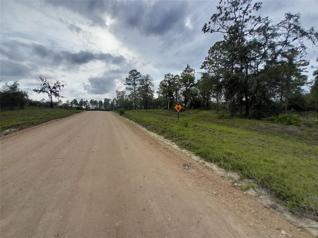 Tbd Southeast 71st Place Morriston, FL 32668 - Photo 9 of 9