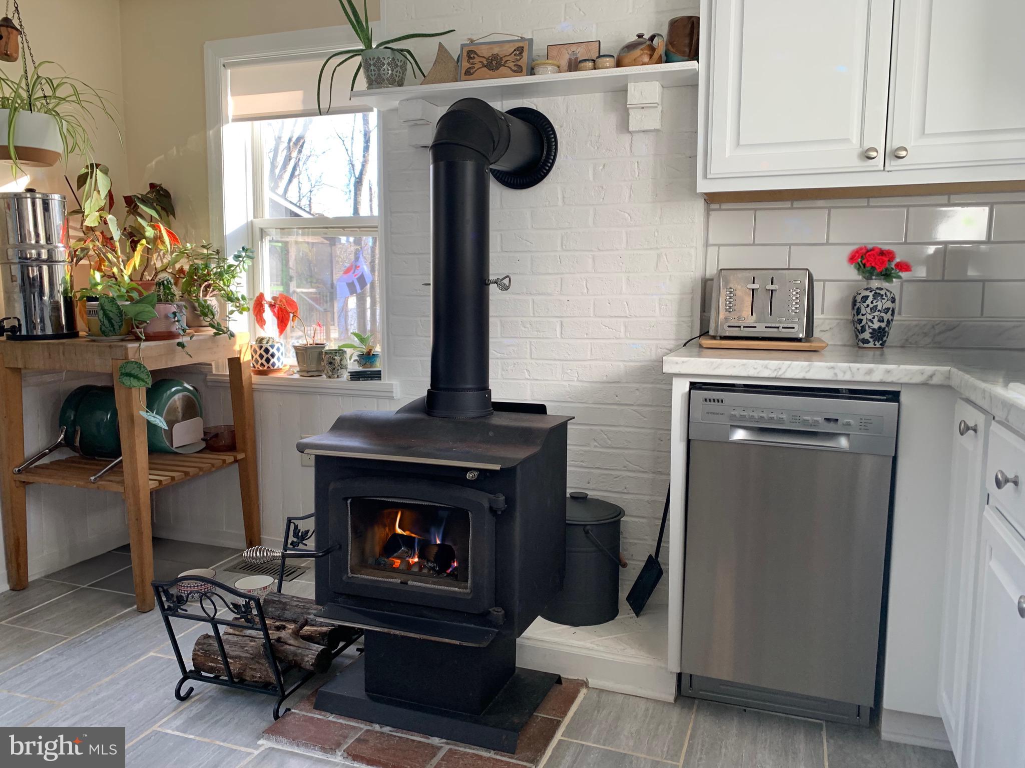 41809 Stumptown Road Leesburg, VA 20176 - Photo 11 of 29 Warm & cozy wood stove next to dishwasher