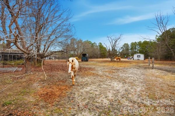 551 Maples Road Pageland, SC 29728 - Photo 43 of 44