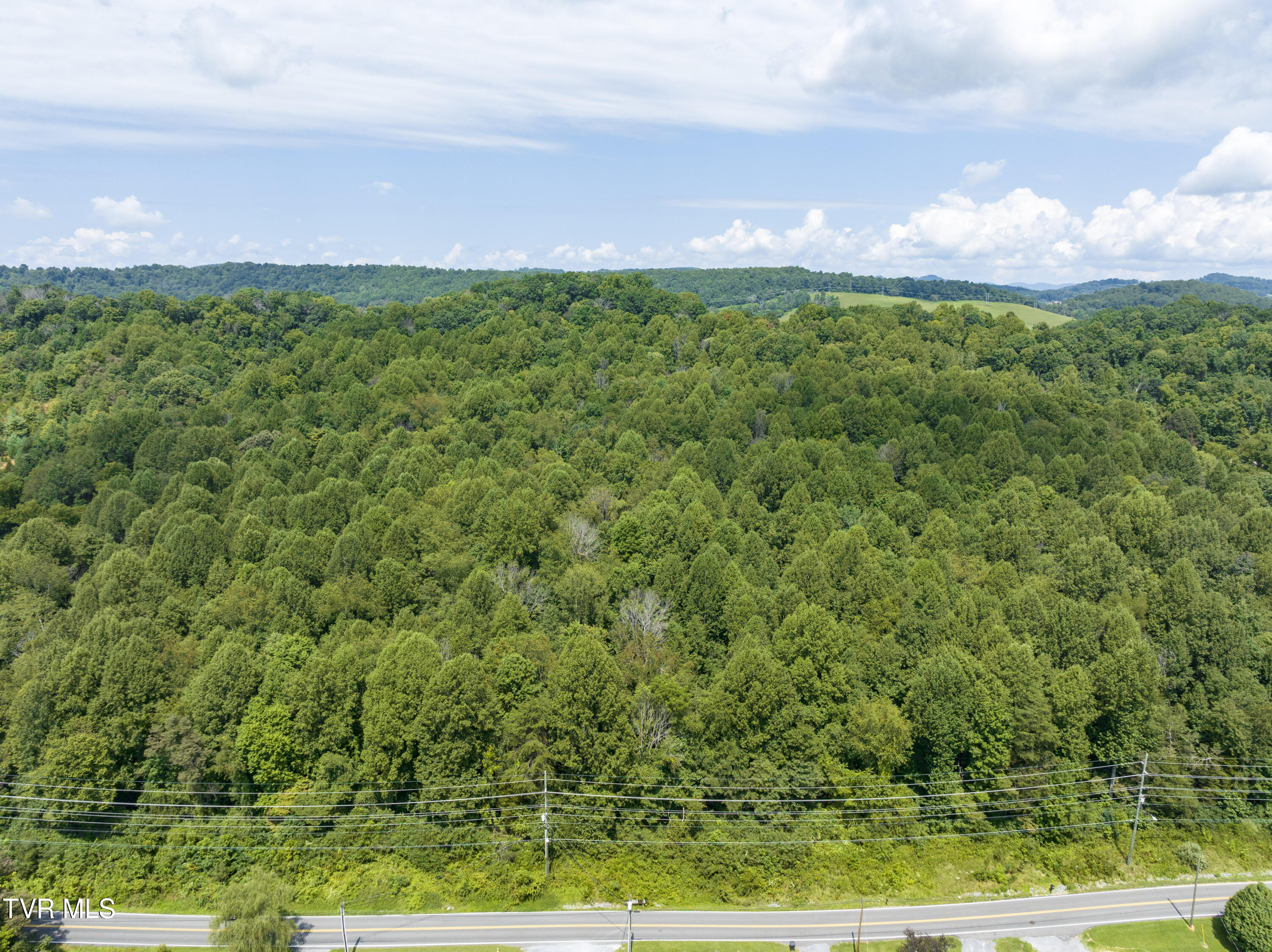 636 Meadow View Road Bristol, TN 37620 - Photo 4 of 11 Land--3
