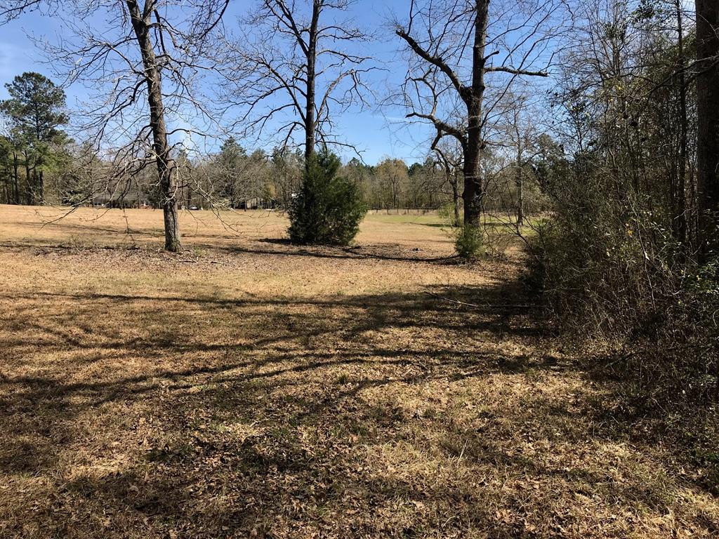 Lot 1 Holiness Church Road Wagener, SC 29164 - Photo 14 of 22