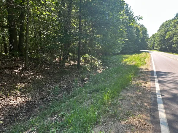 $47,900 | V/l Ridge Road, Mears, MI 49436