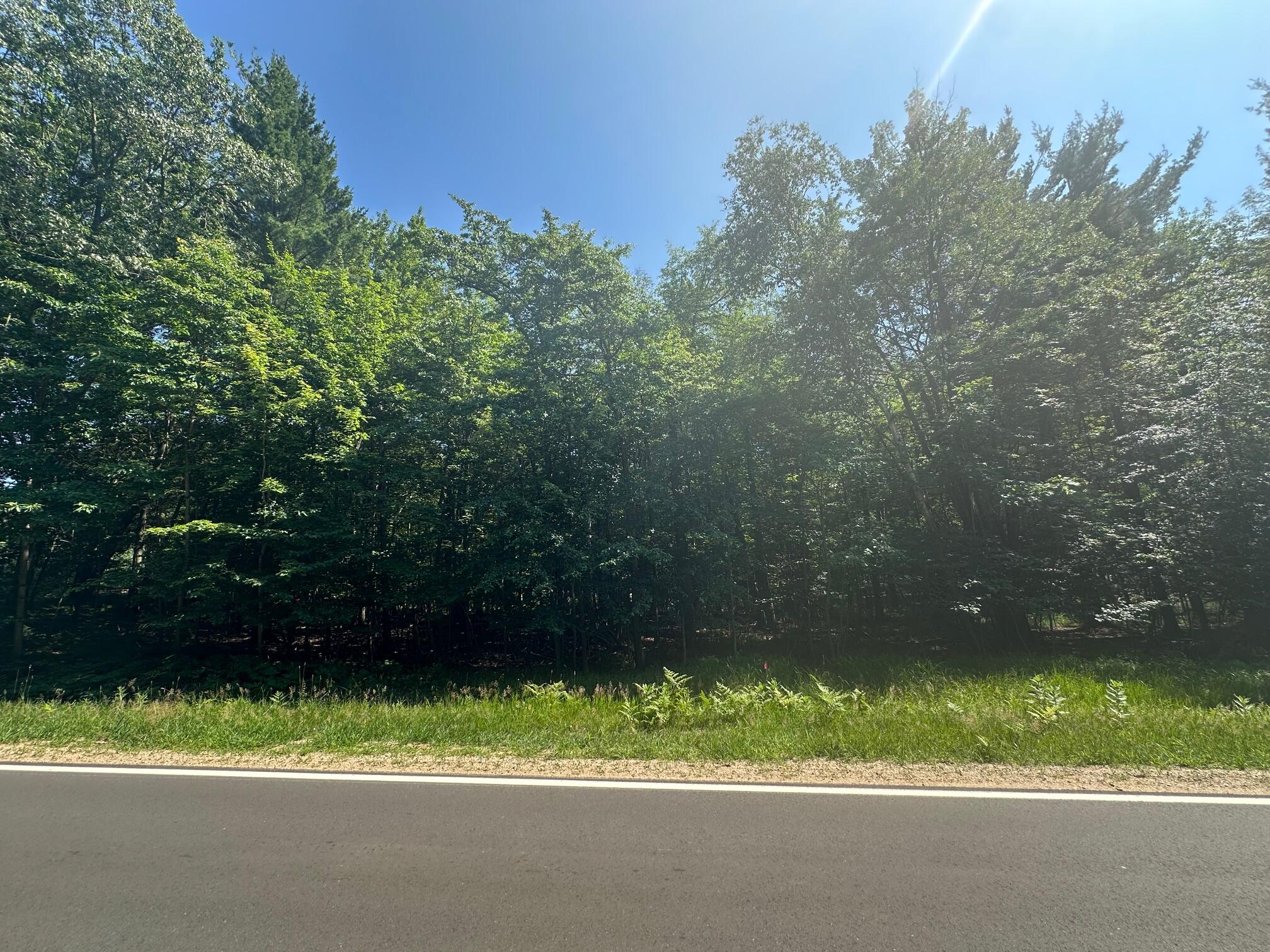 V/l Ridge Road Mears, MI 49436 - Photo 2 of 7 IMG_4987