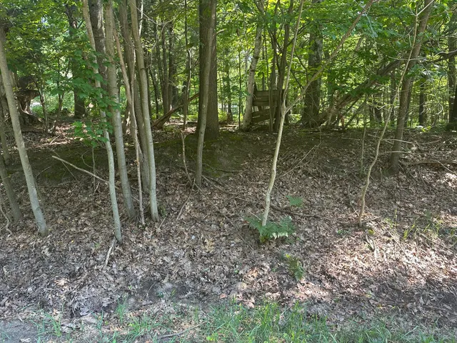$49,900 | V/l Ridge Road, Mears, MI 49436