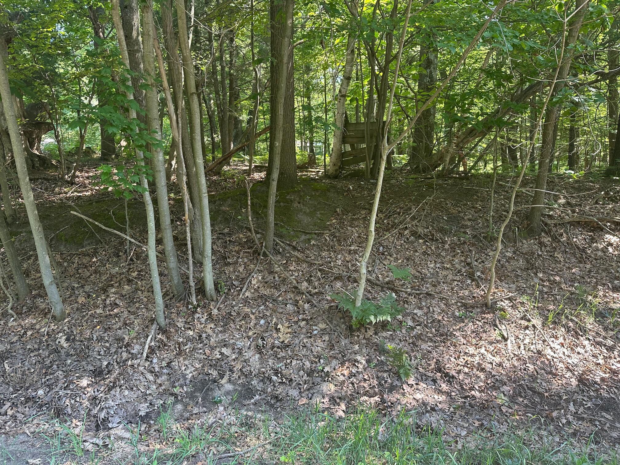 V/l Ridge Road Mears, MI 49436 - Photo 3 of 7 IMG_4988