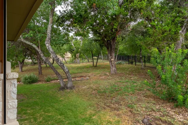 a view of a tree in a park