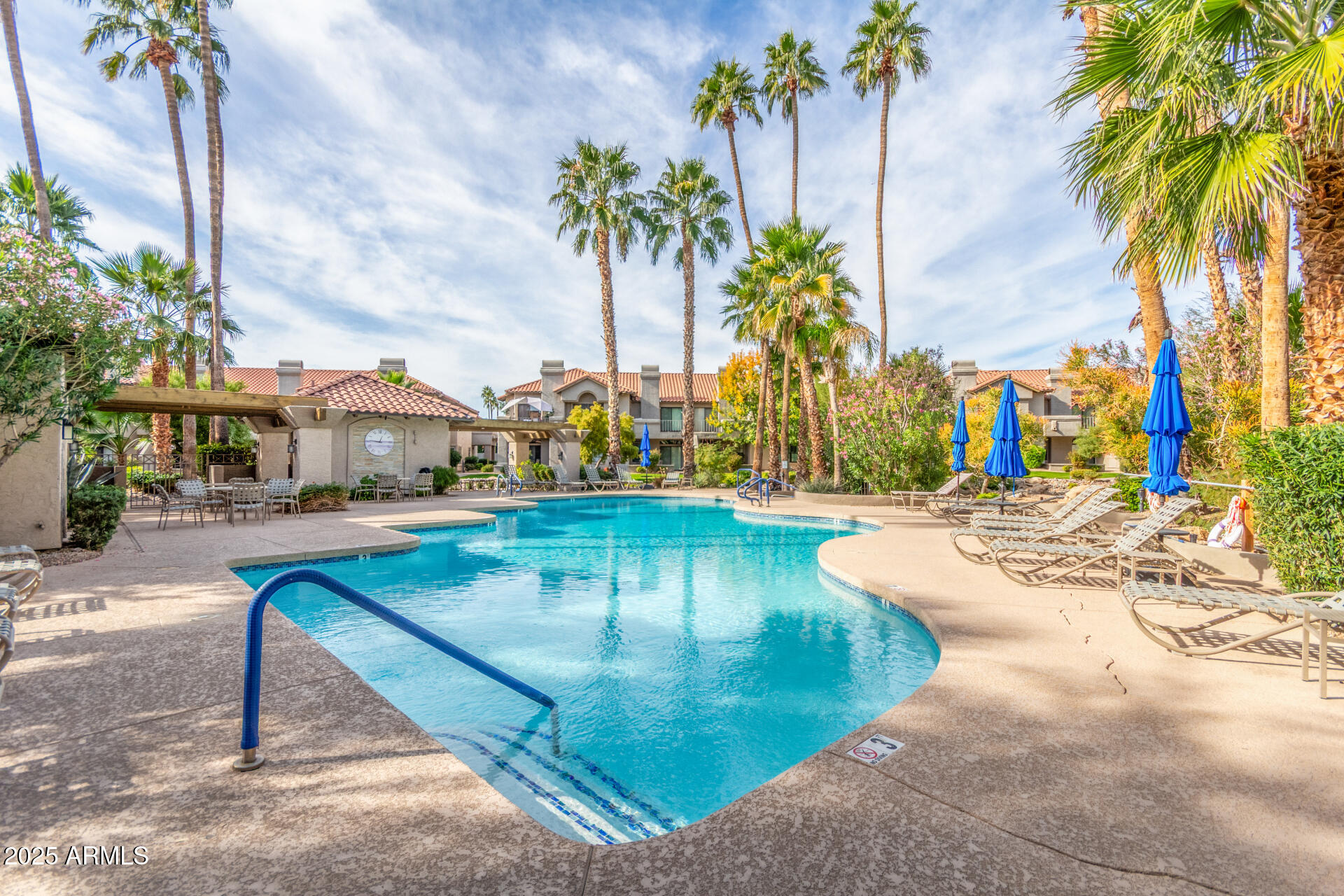 10019 East Mountain View Road, Unit 1121 Scottsdale, AZ 85258 - Photo 33 of 39 a view of a swimming pool with a lawn chairs under palm trees