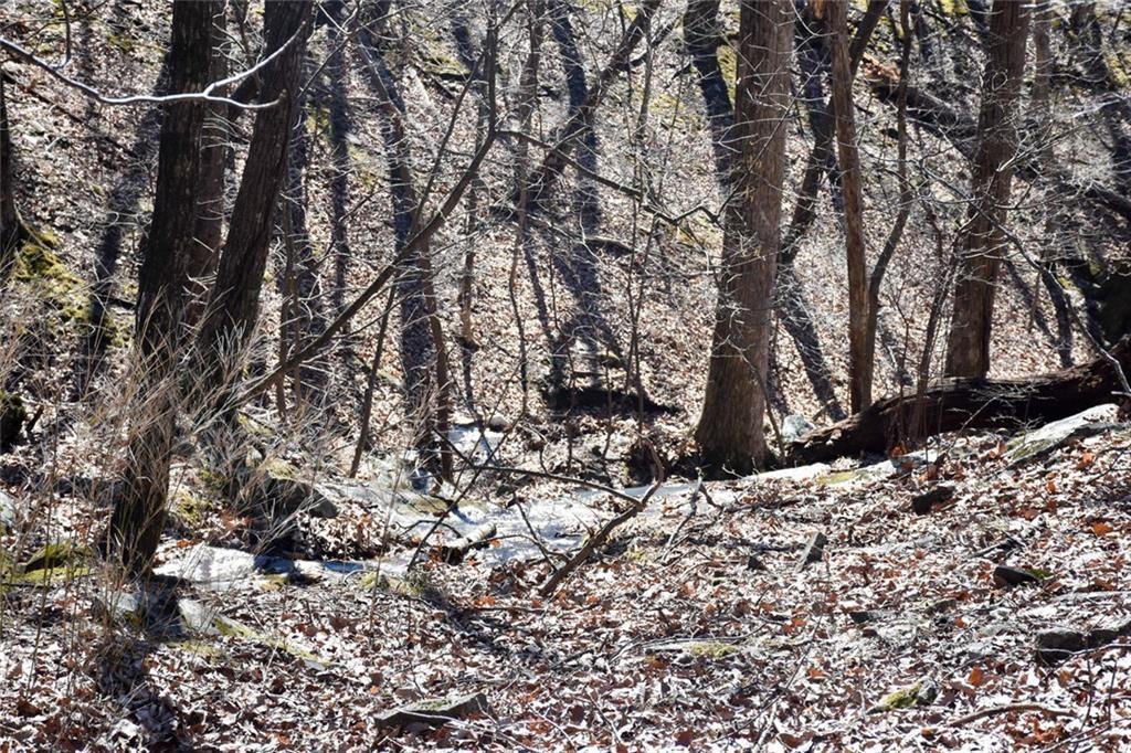 716 Moss Patch Trail Jasper, GA 30143 - Photo 24 of 26