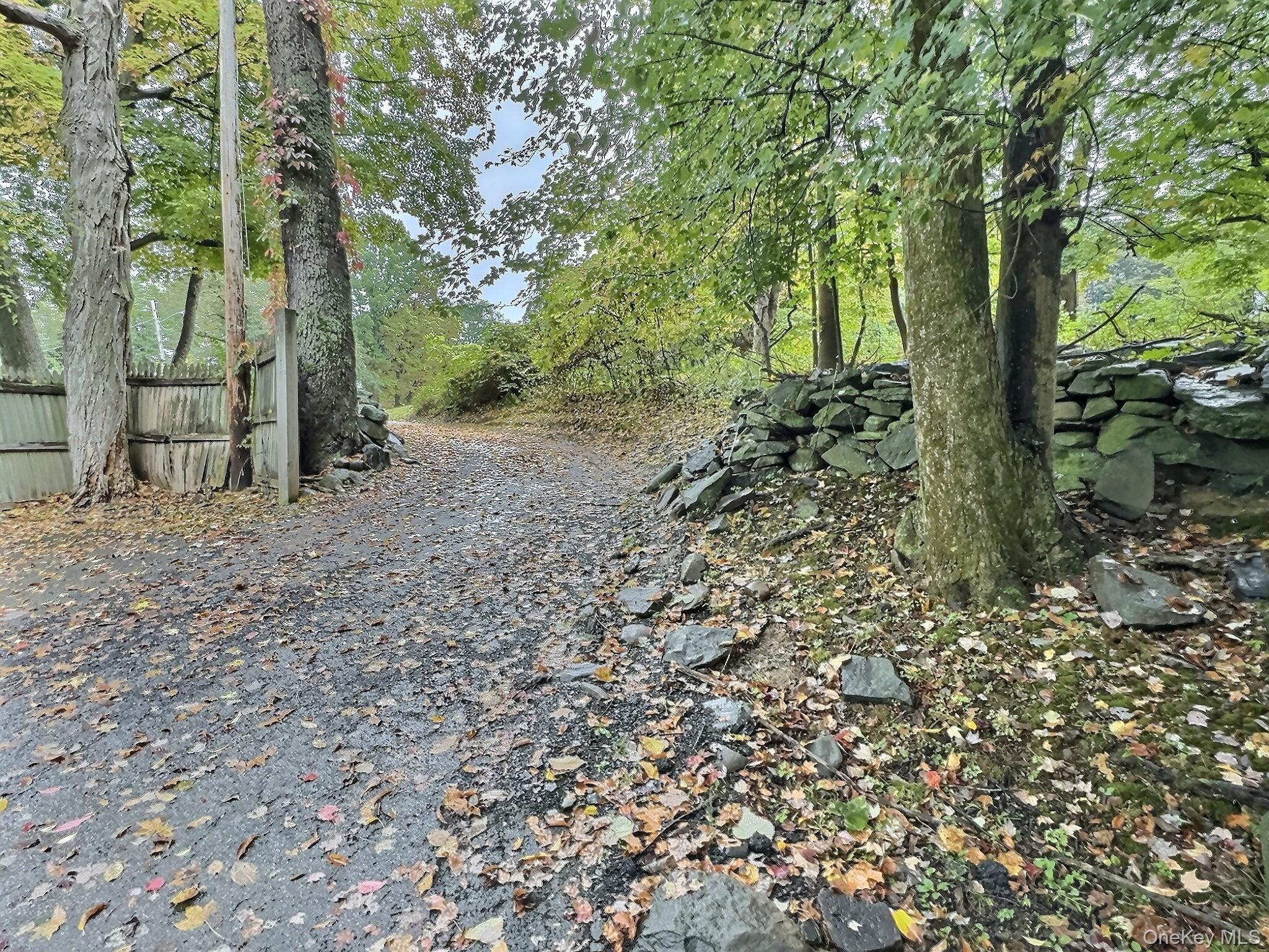 28 Wilson Place Cornwall, NY 12518 - Photo 19 of 24 a view of a forest filled with trees