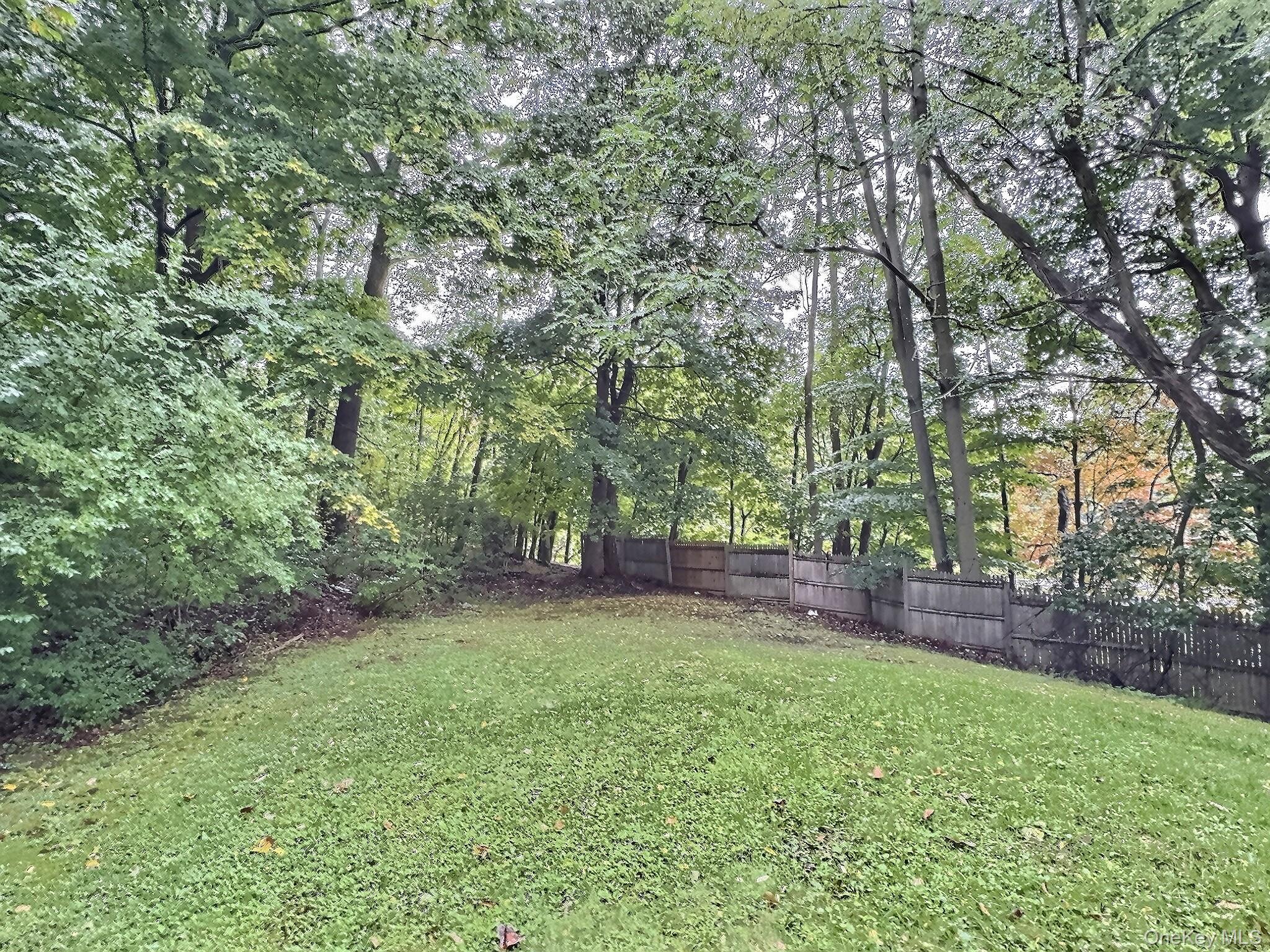 28 Wilson Place Cornwall, NY 12518 - Photo 24 of 24 a view of a yard with a tree