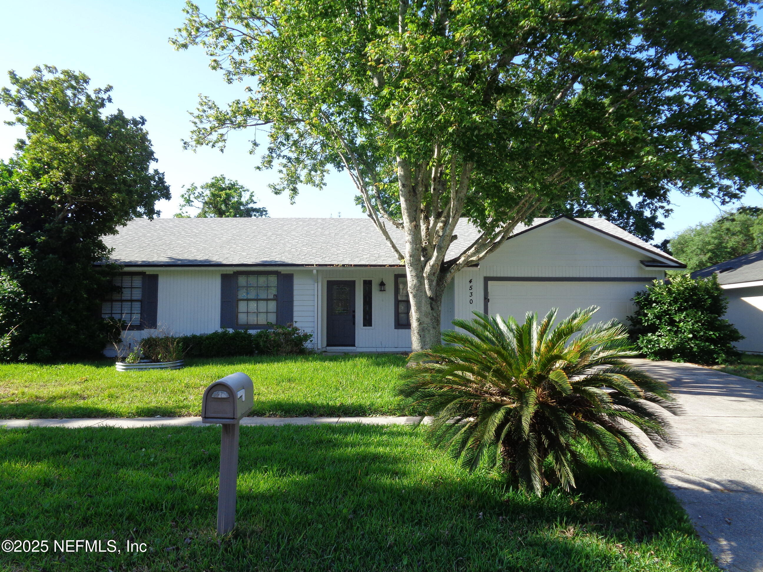 a front view of house with yard and green space
