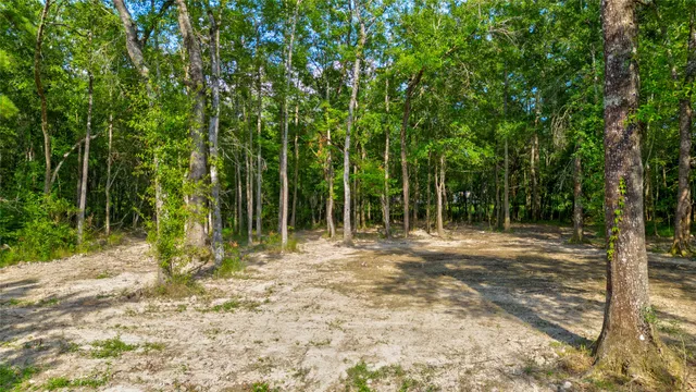 $23,500 | 6386 Mesquite Drive, Orange, TX 77632