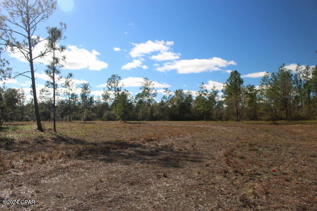 5015 Northwest County Road 274 Altha, FL 32421 - Photo 4 of 15