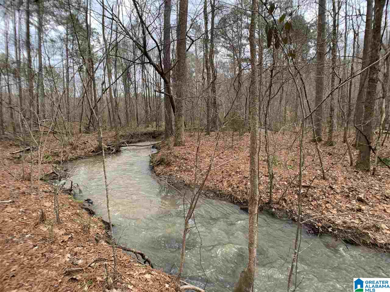 0 Possum Trot Road Piedmont, AL 36272 - Photo 8 of 13
