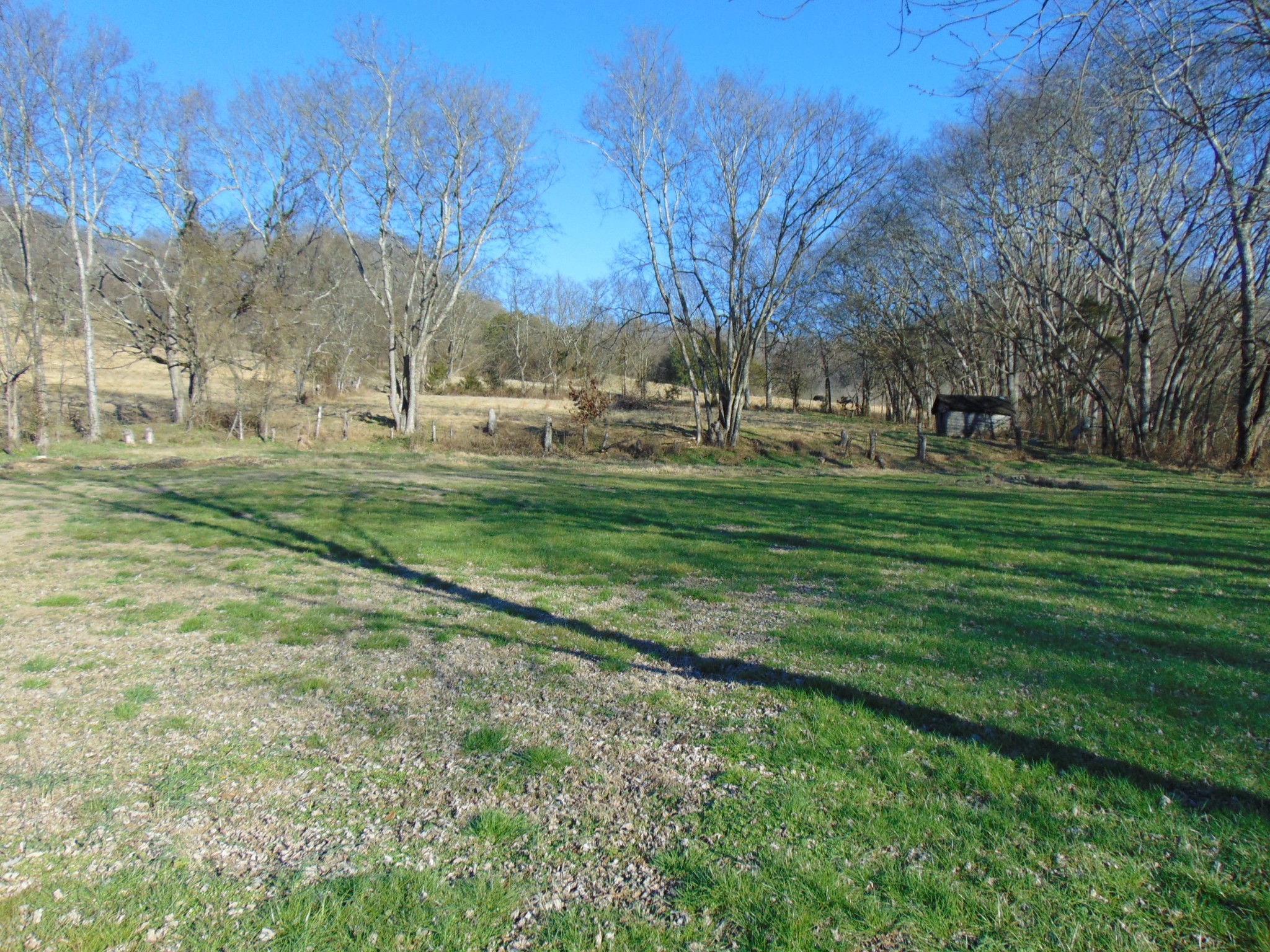 3547 Coffey Branch Road Cornersville, TN 37047 - Photo 41 of 57 a view of a park with large trees