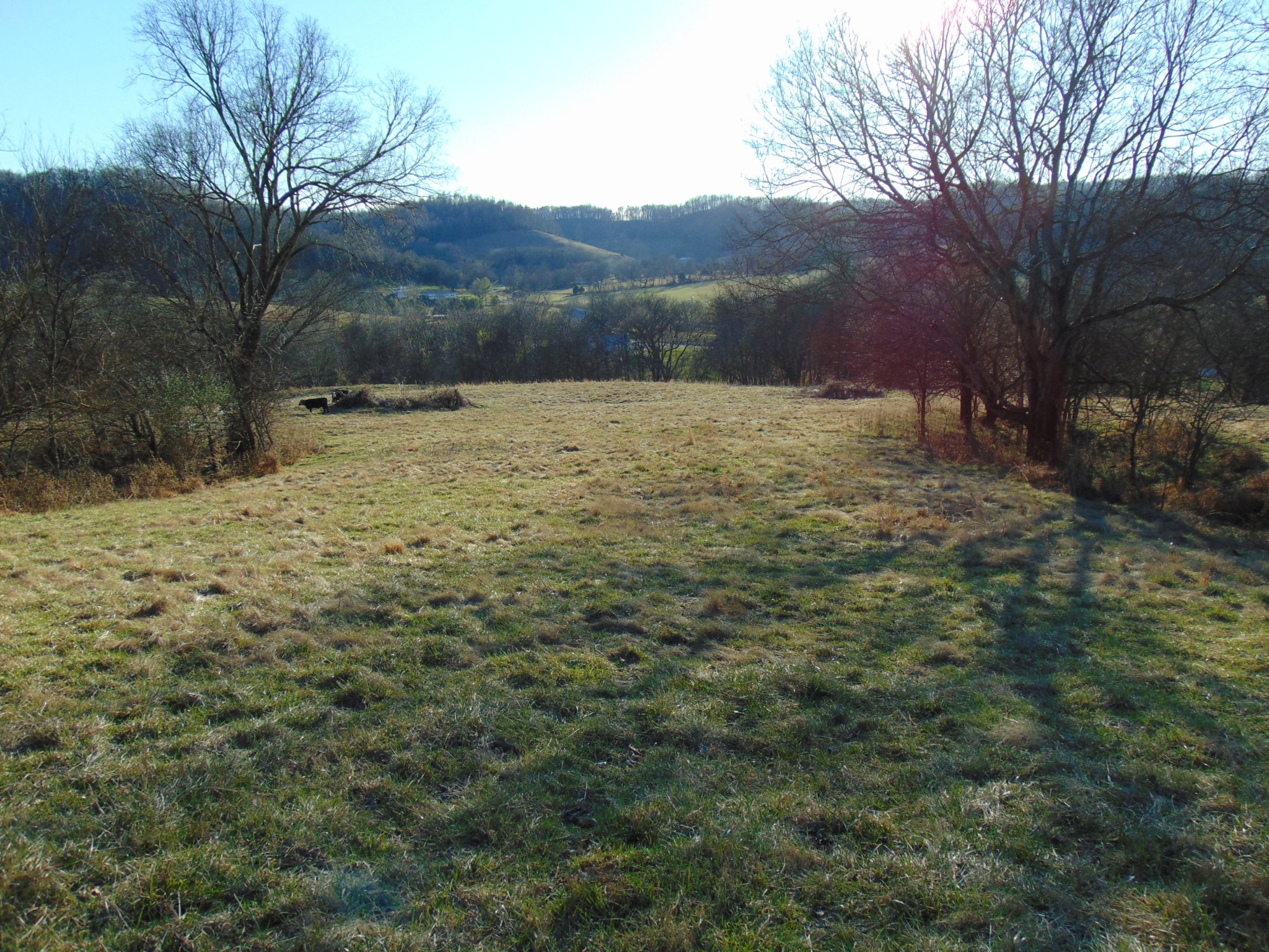 3547 Coffey Branch Road Cornersville, TN 37047 - Photo 43 of 57