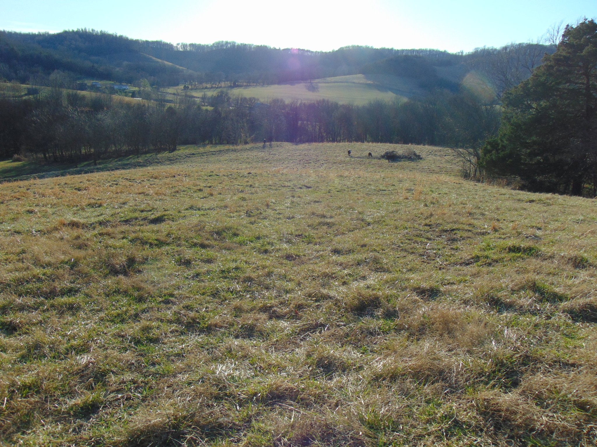 3547 Coffey Branch Road Cornersville, TN 37047 - Photo 44 of 57