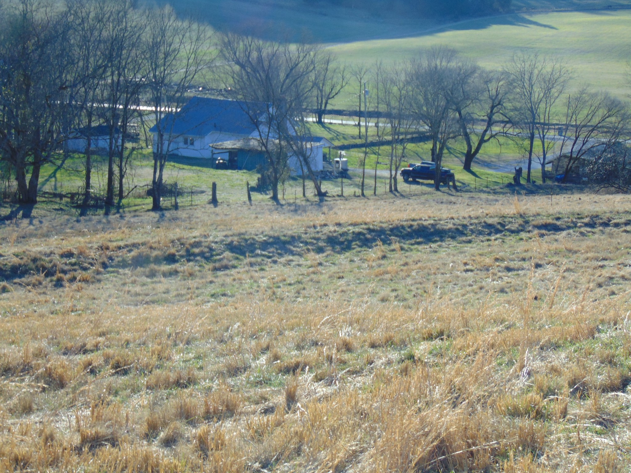 3547 Coffey Branch Road Cornersville, TN 37047 - Photo 46 of 57