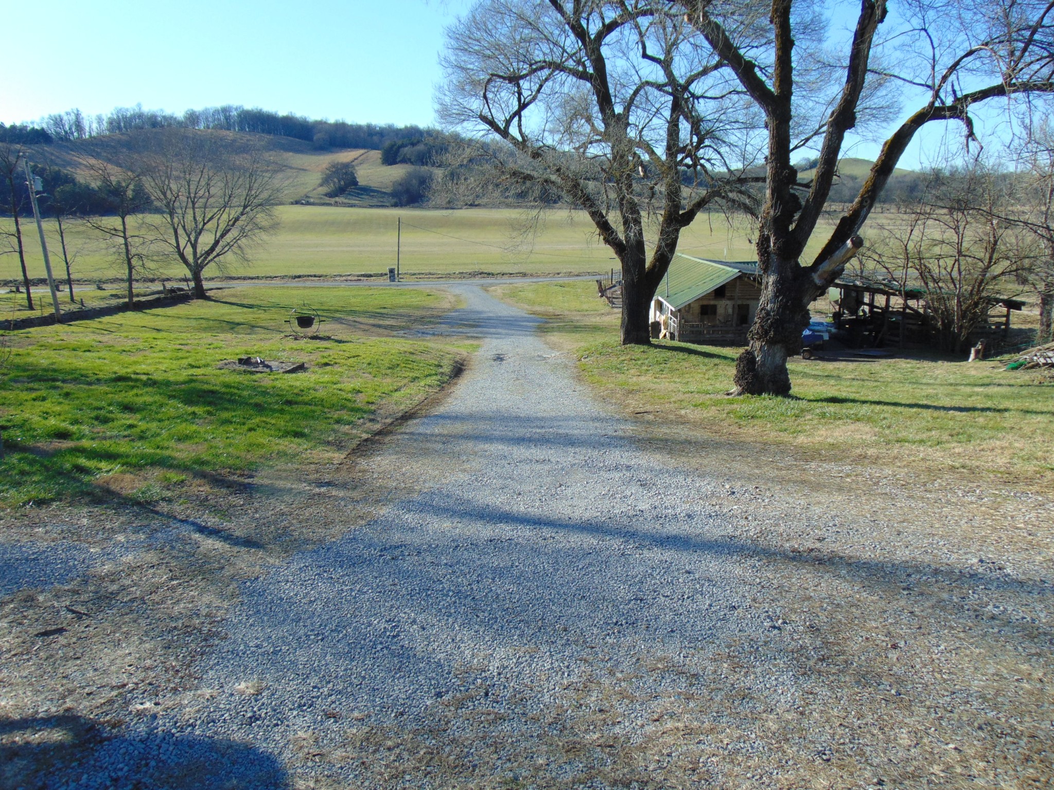 3547 Coffey Branch Road Cornersville, TN 37047 - Photo 47 of 57 a view of a yard