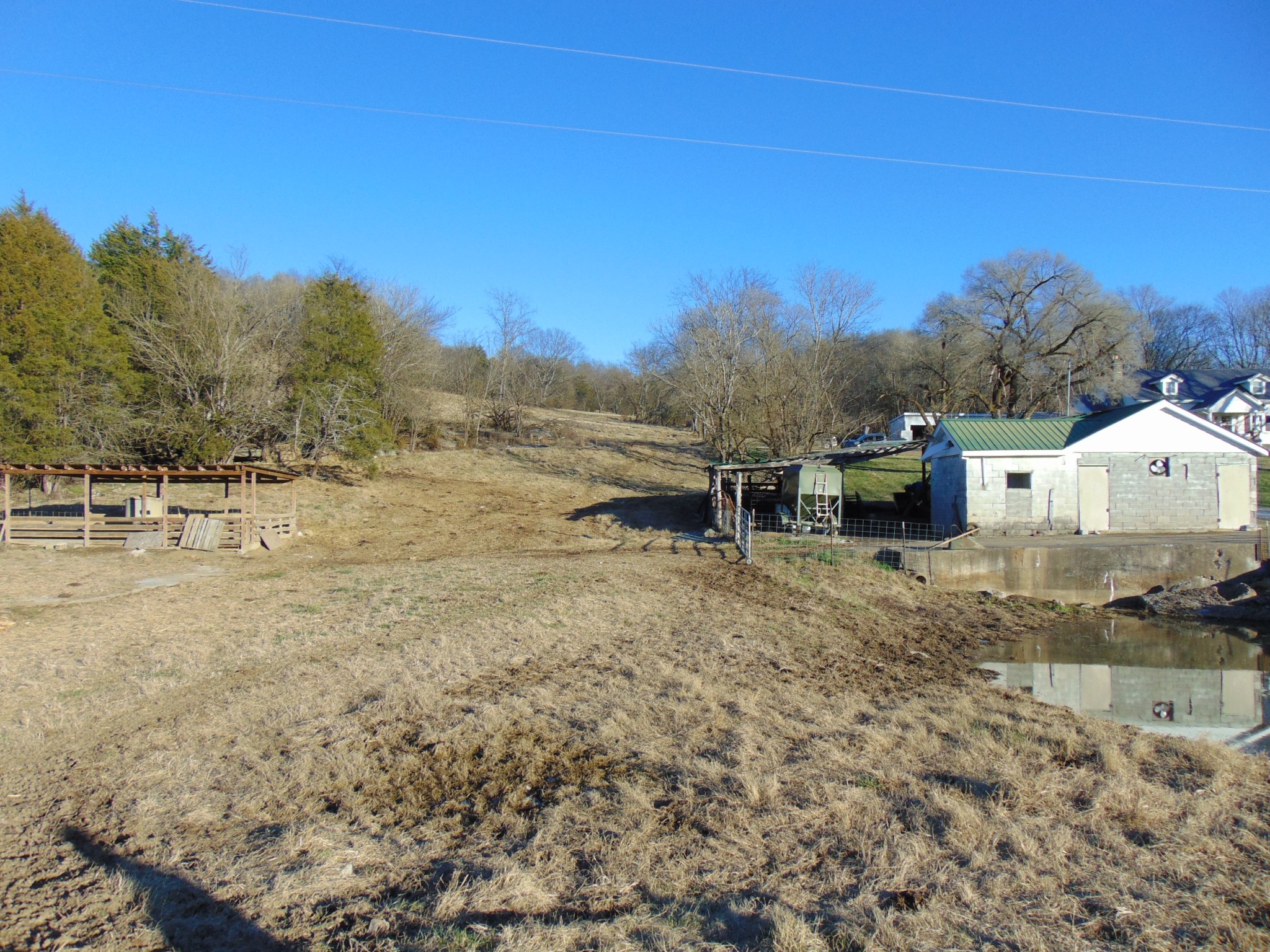 3547 Coffey Branch Road Cornersville, TN 37047 - Photo 51 of 57 a view of a town with trees in the background