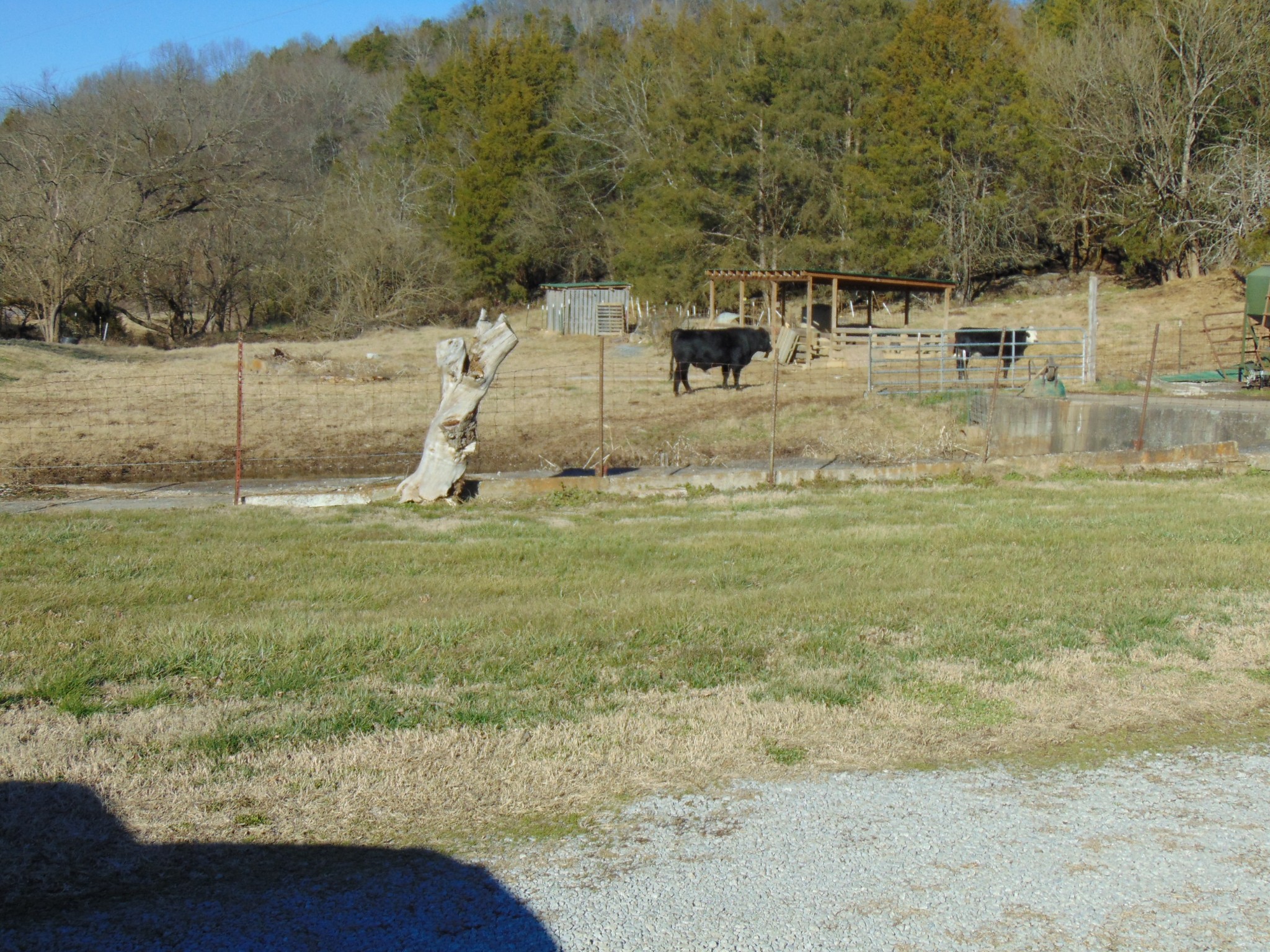 3547 Coffey Branch Road Cornersville, TN 37047 - Photo 52 of 57