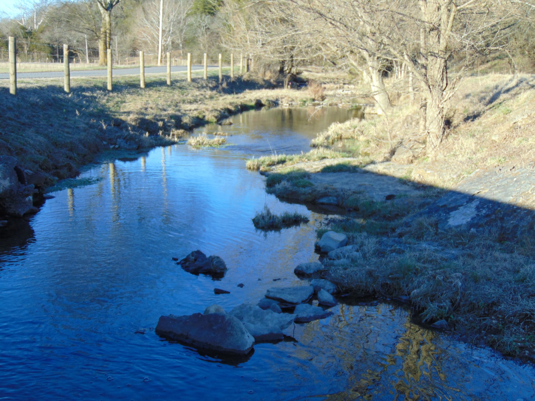 3547 Coffey Branch Road Cornersville, TN 37047 - Photo 53 of 57 a view of a lake with outside space