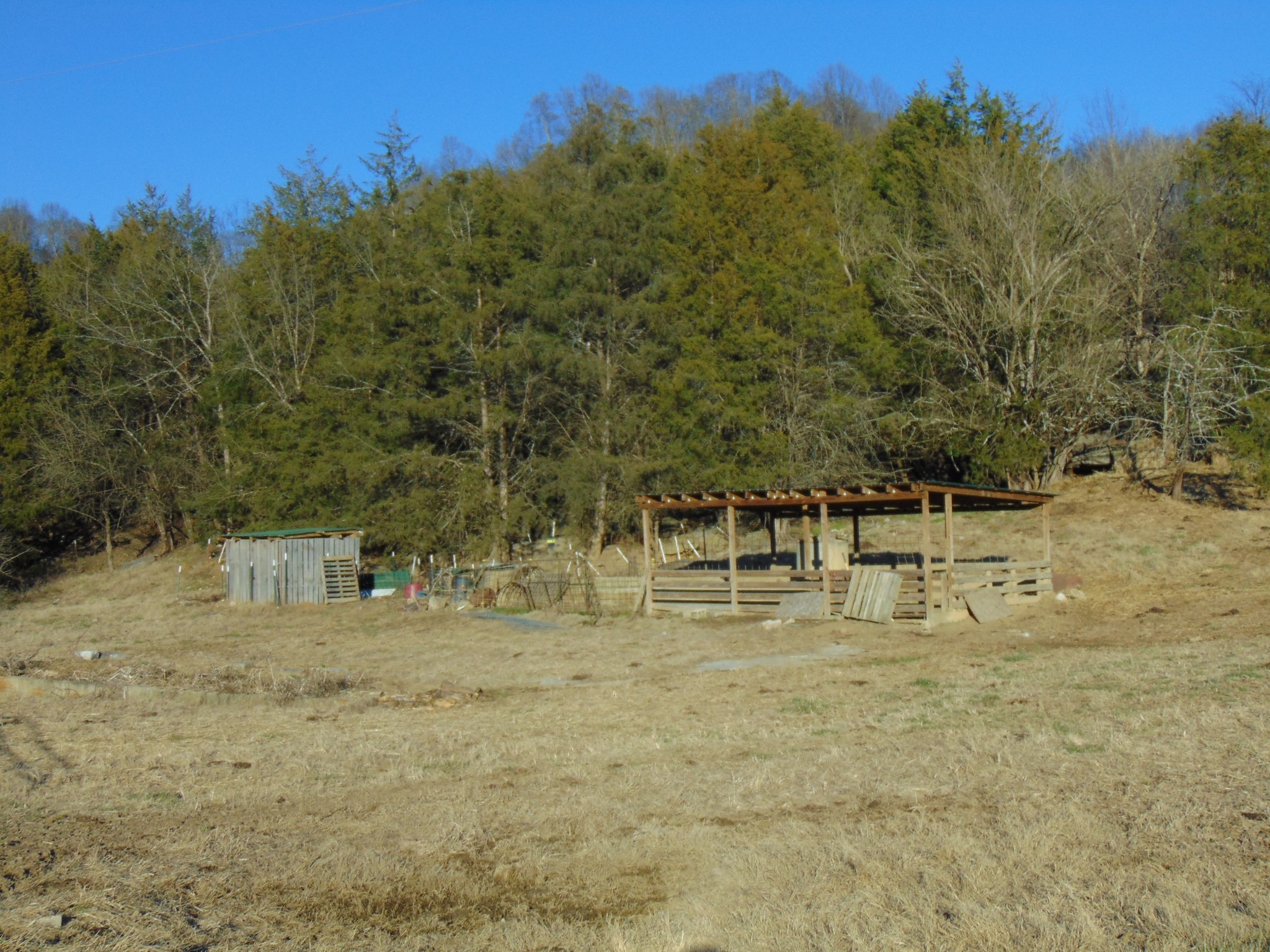 3547 Coffey Branch Road Cornersville, TN 37047 - Photo 54 of 57 a view of a water fountain with trees in the background