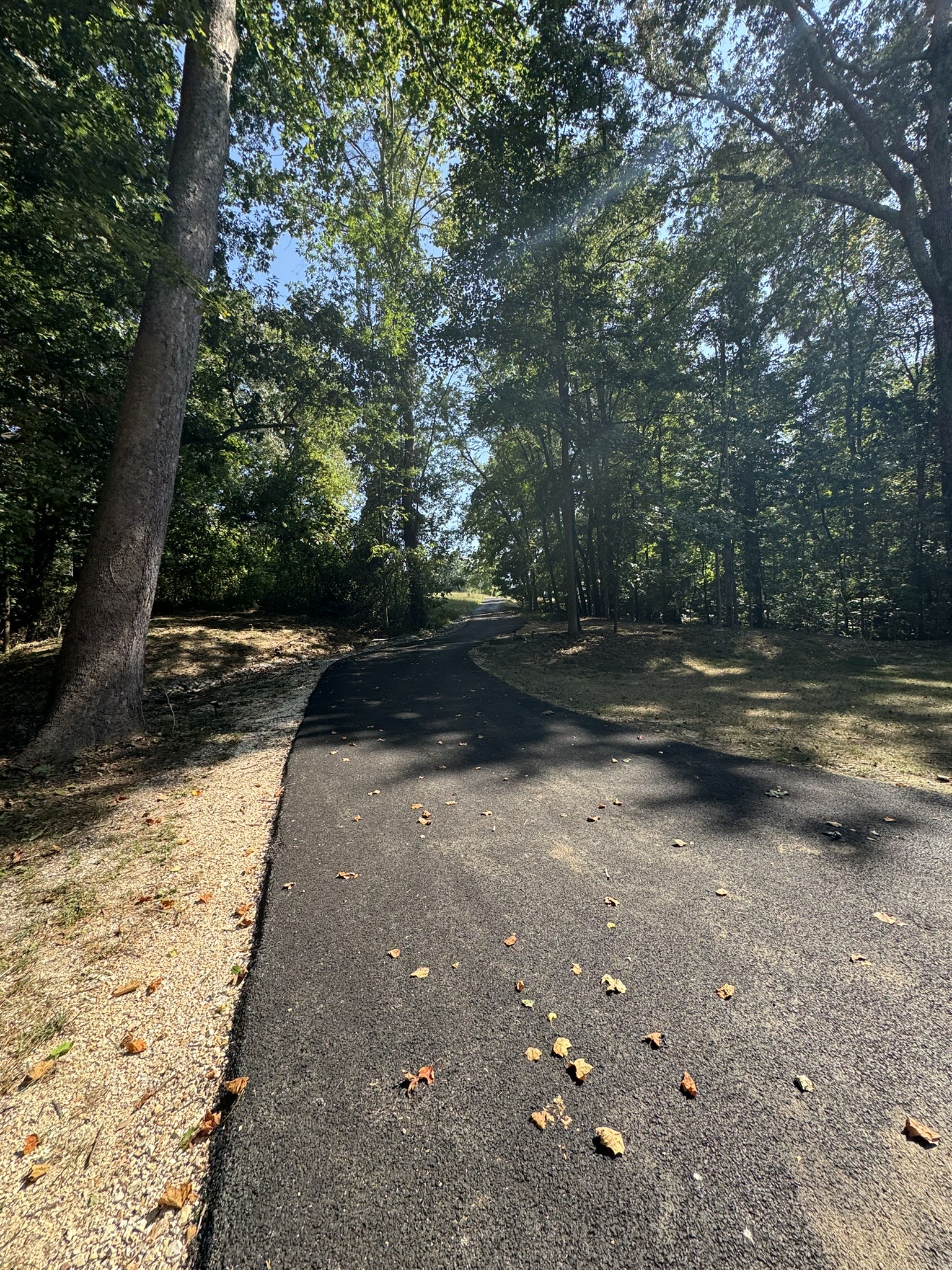 710 3rd Street Paris, TN 38242 - Photo 5 of 34