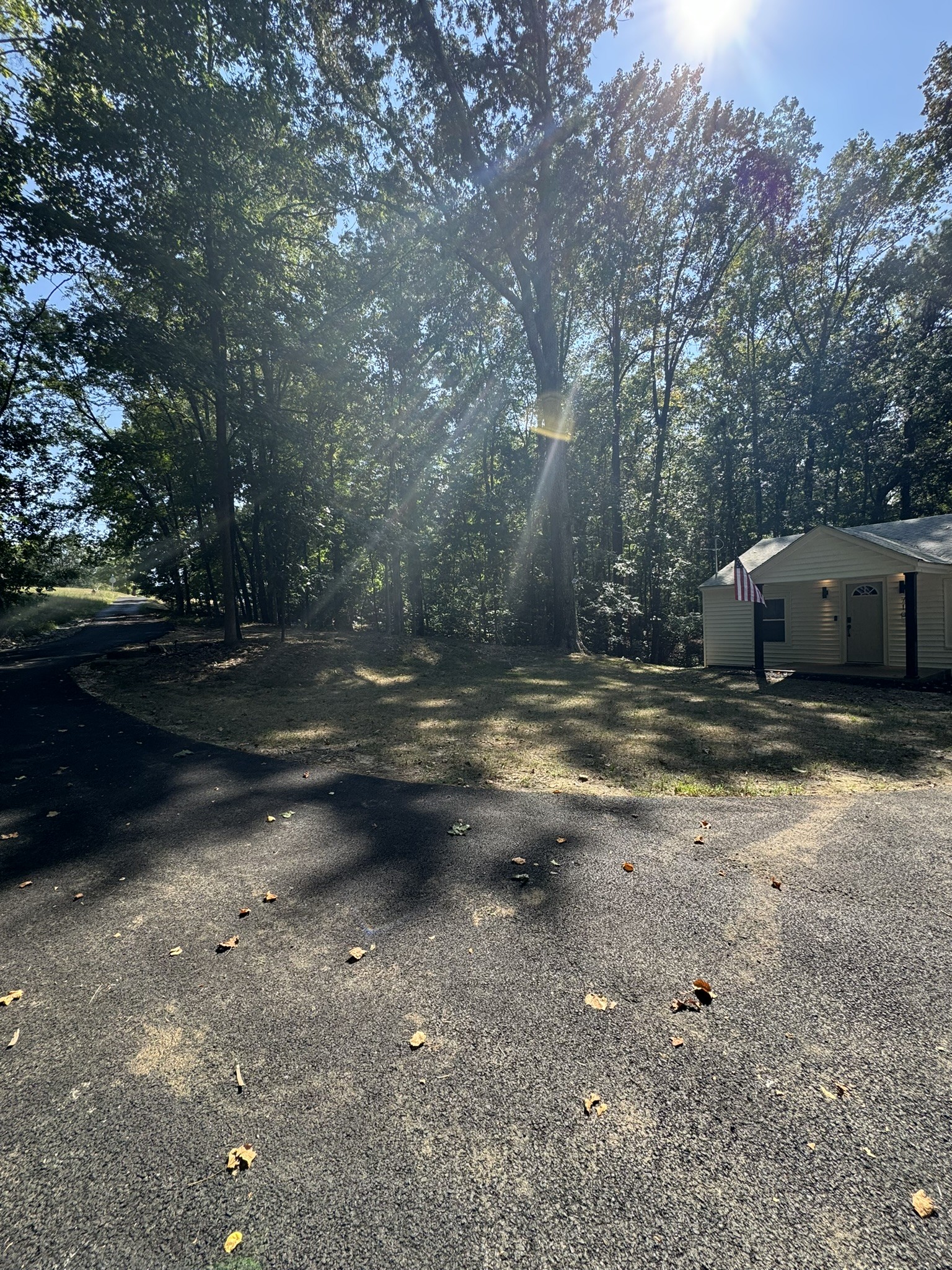 710 3rd Street Paris, TN 38242 - Photo 6 of 34 a view of dirt yard
