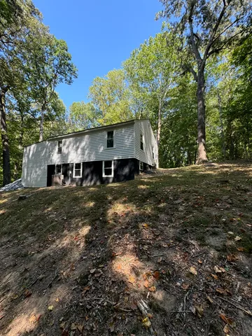 a view of a backyard with large trees