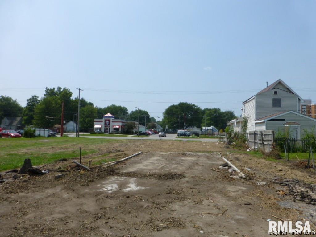 1120 North 9th Street Springfield, IL 62702 - Photo 6 of 9