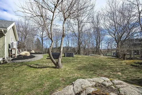 a view of a yard with a tree