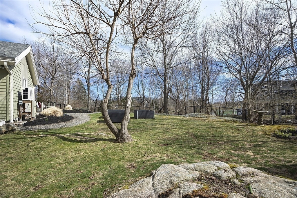 39 Decatur Street, Unit WINTER Gloucester, MA 01930 - Photo 32 of 38 a view of a yard with a tree