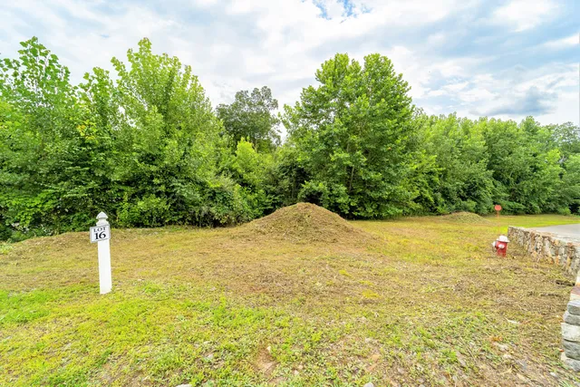 an aerial view of a house with large trees and plants