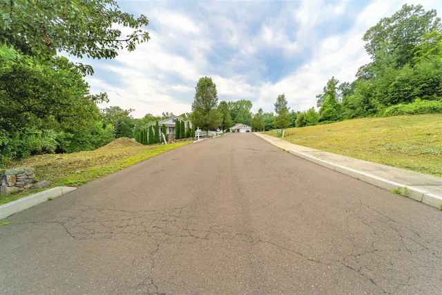 a view of a field and a big trees