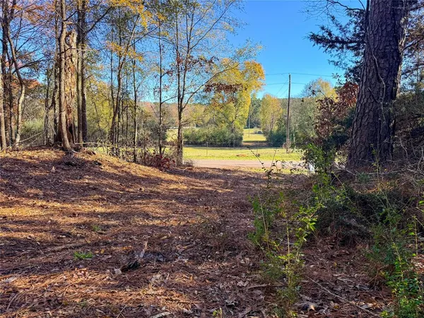 a view of a backyard of the house