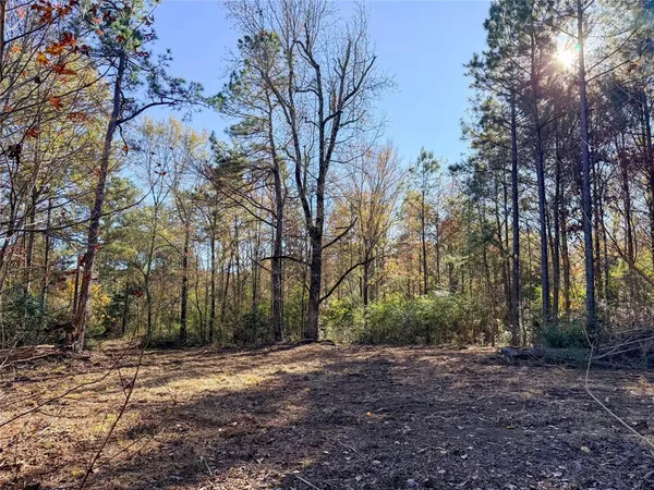 a view of outdoor space with trees