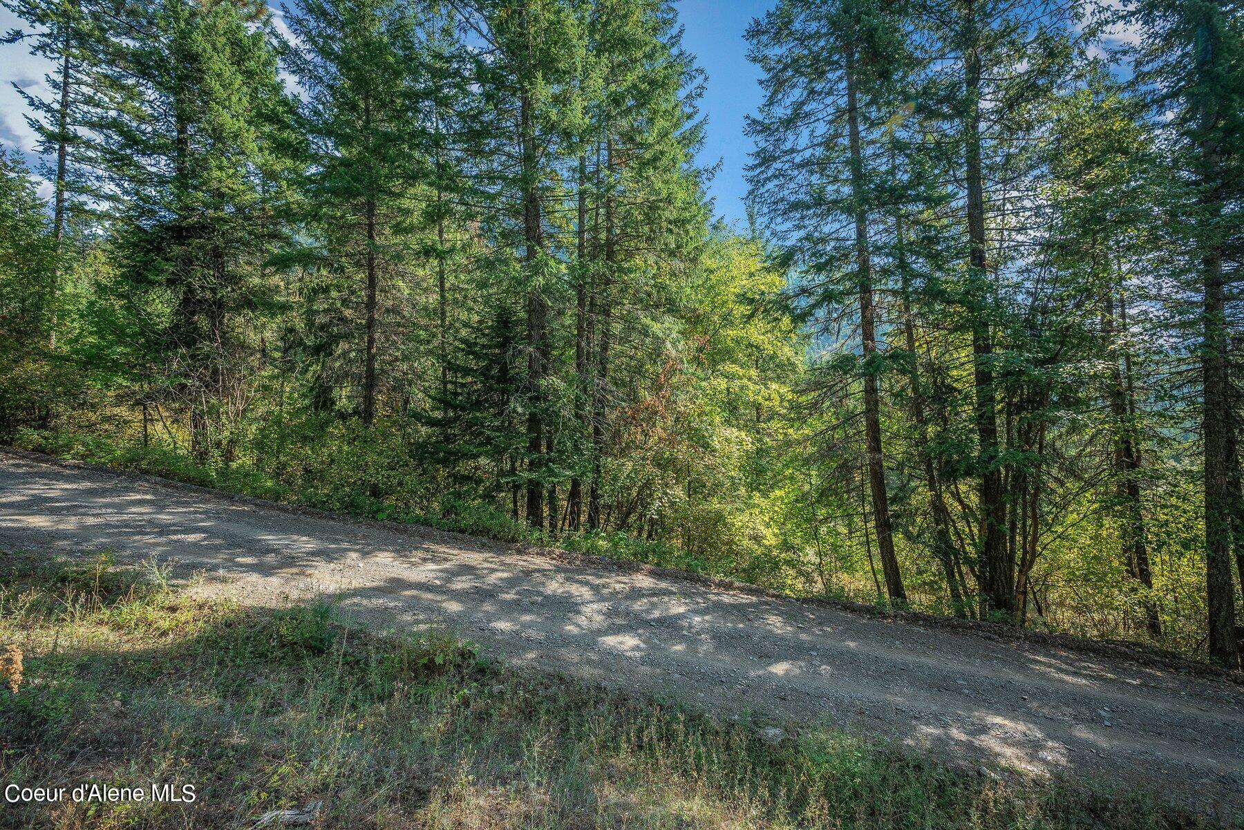 818 Silver Creek Road Clark Fork, ID 83811 - Photo 16 of 45 ATV Ready