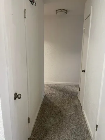 a bathroom with a shower and a toilet