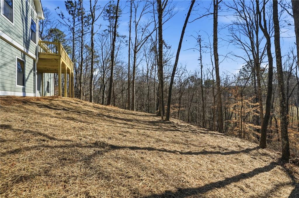 176 Windsor Way Jasper, GA 30143 - Photo 55 of 70