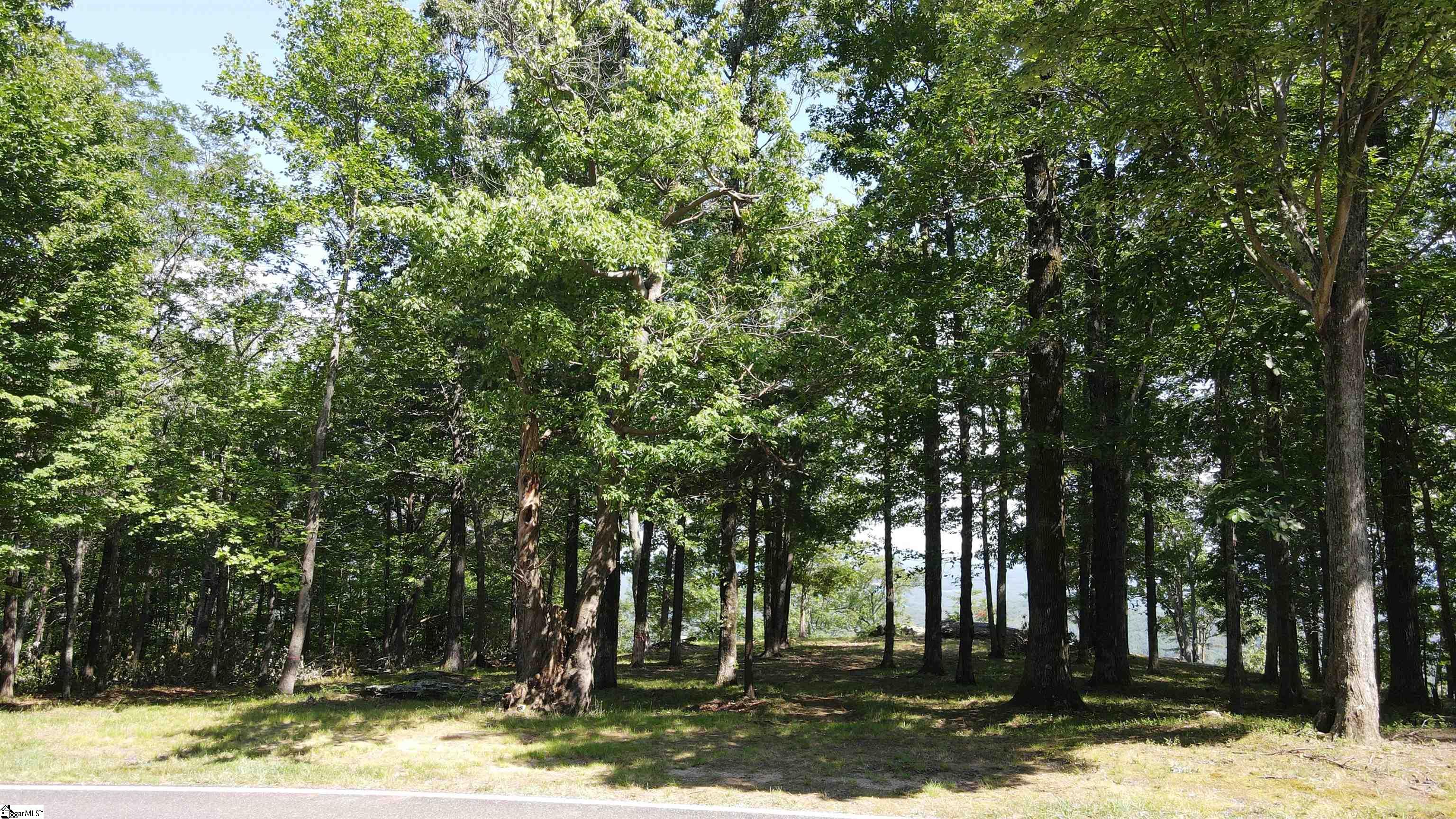 0 Southview Ledge Road, Unit LOT 62 Landrum, SC 29356 - Photo 15 of 34