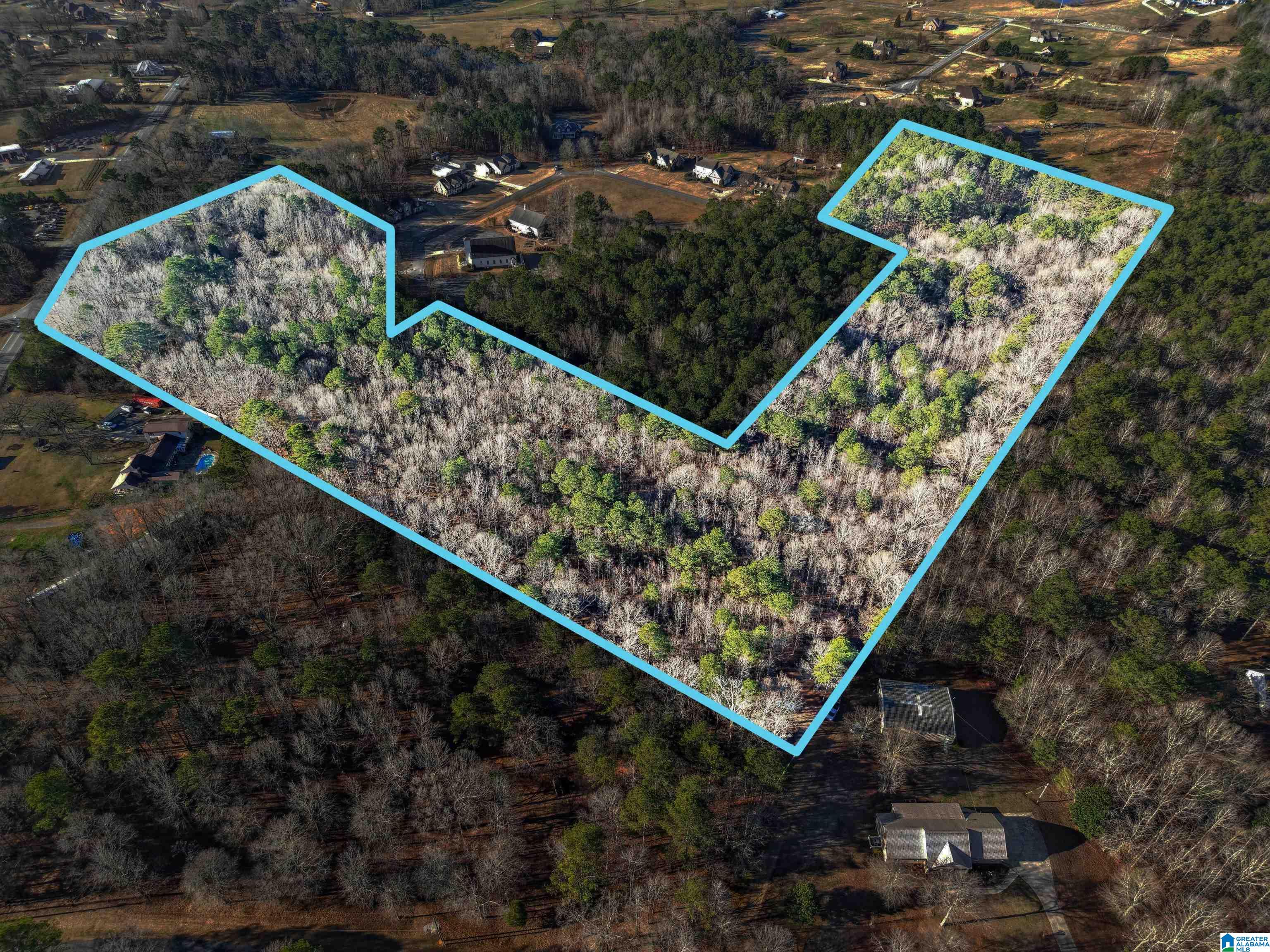 0 Branch Cove, Unit PHASE 2 Odenville, AL 35120 - Photo 3 of 32