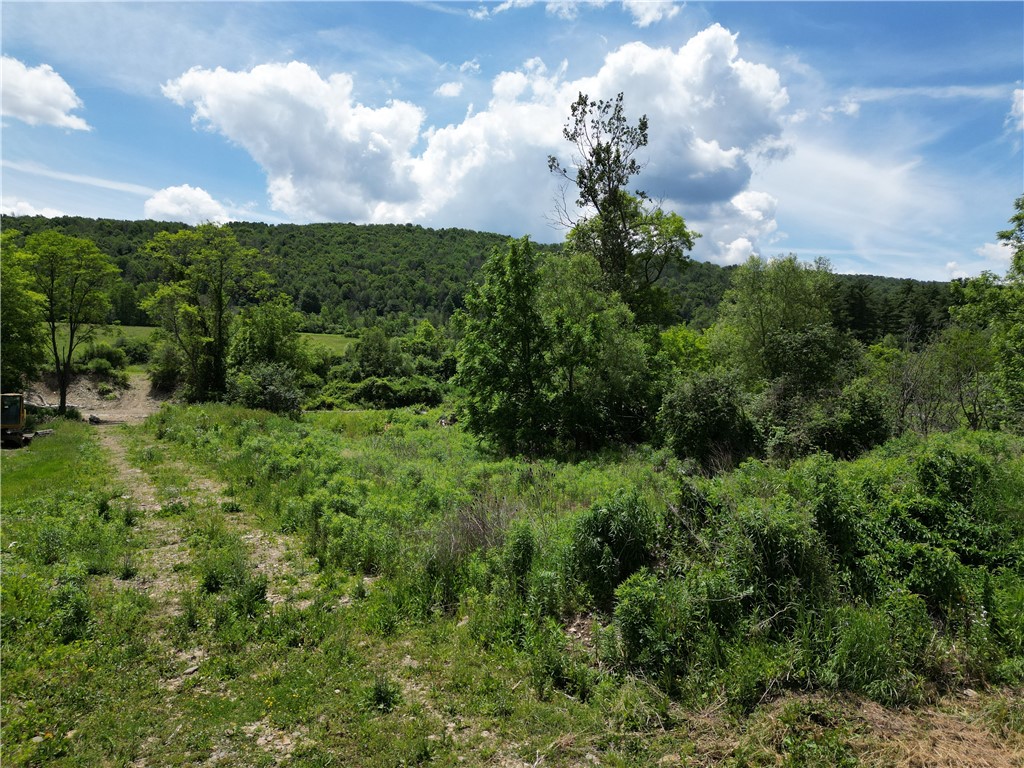 Karr Valley Road Almond, NY 14804 - Photo 2 of 11