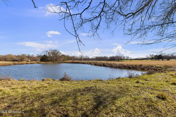 $649,500 | 205 Avondale Road, Canton, MS 39046