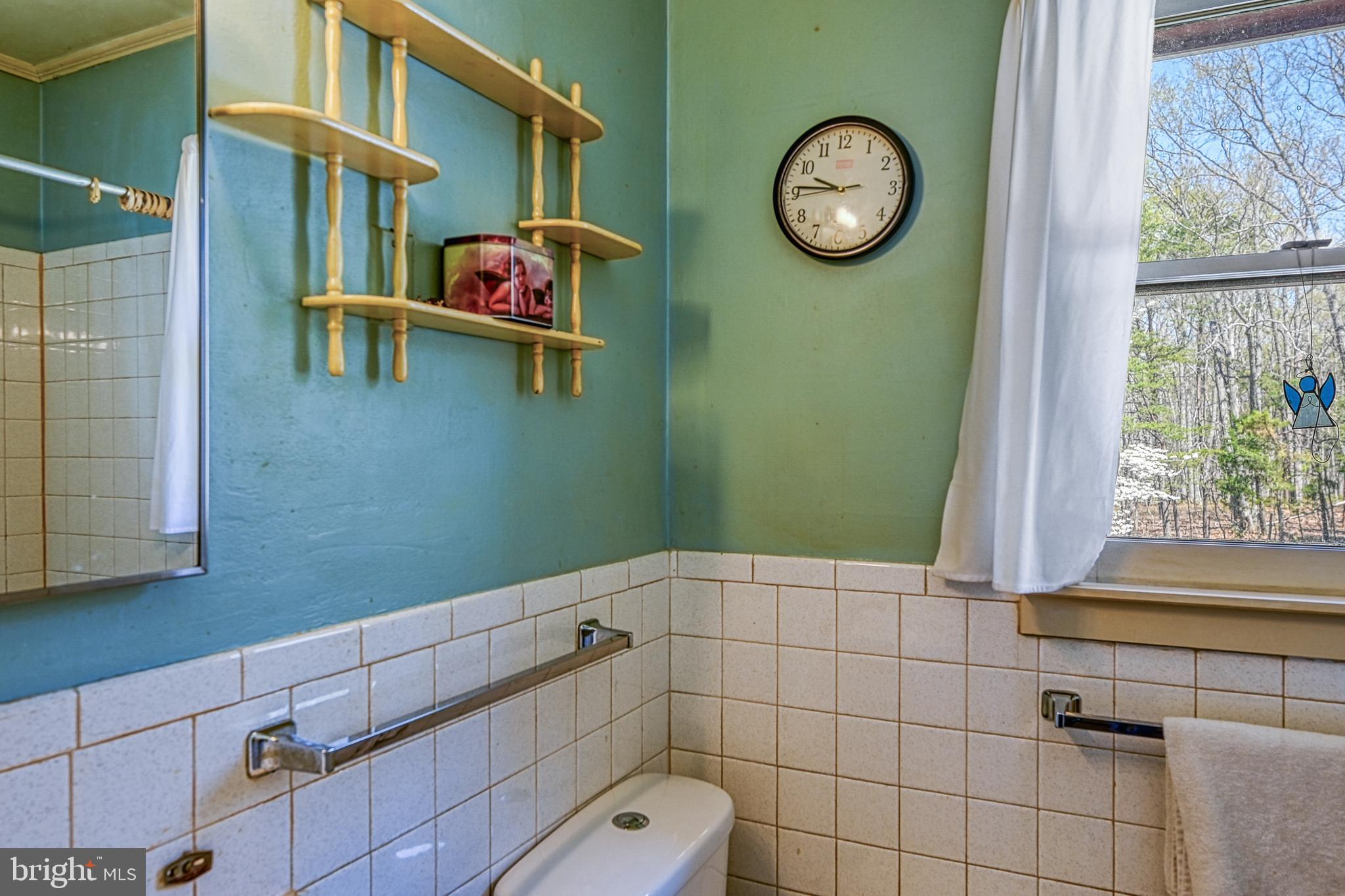 517 Doctors Road Louisa, VA 23093 - Photo 47 of 83 a bathroom with a toilet and a window