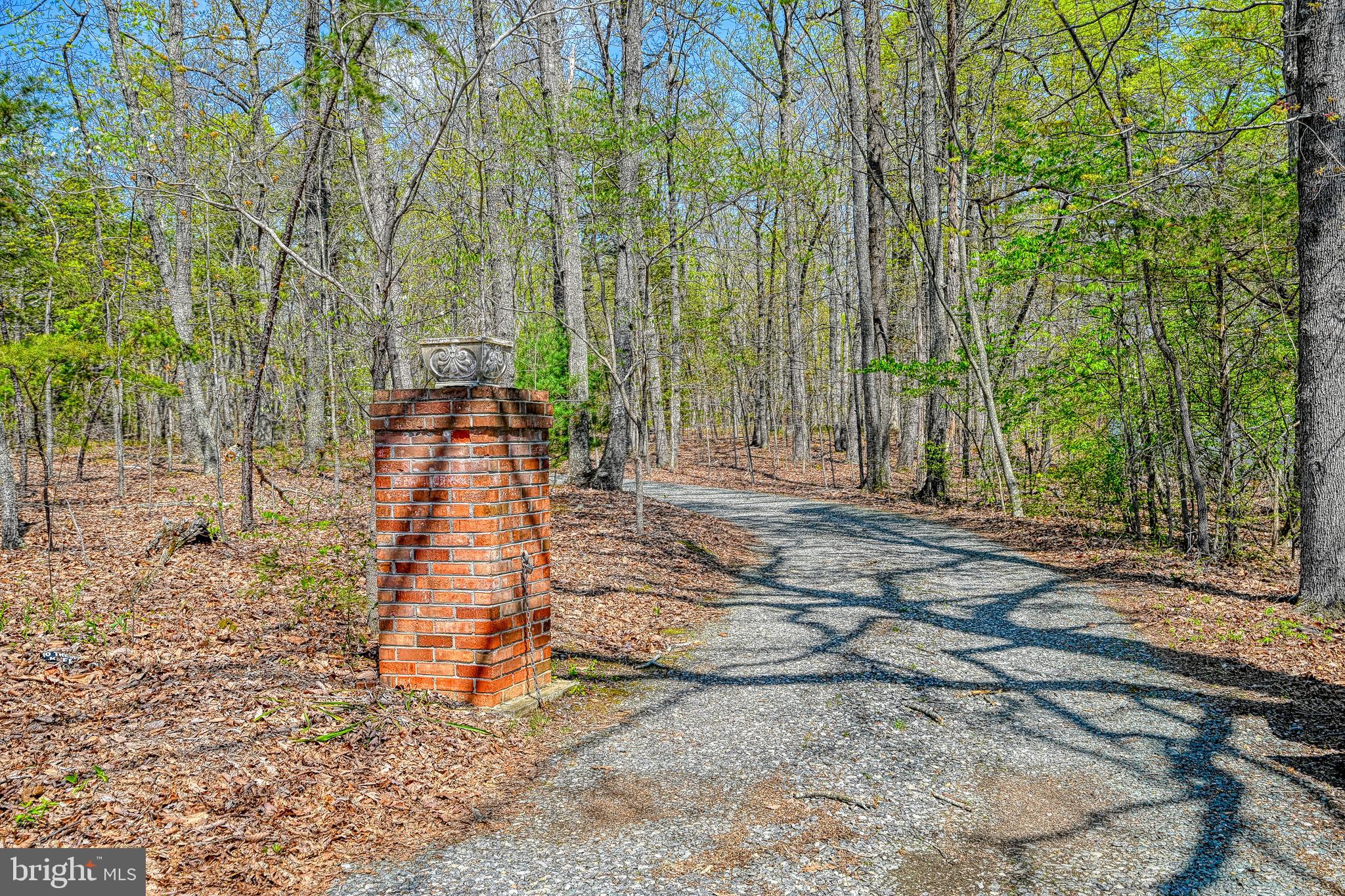 517 Doctors Road Louisa, VA 23093 - Photo 61 of 83