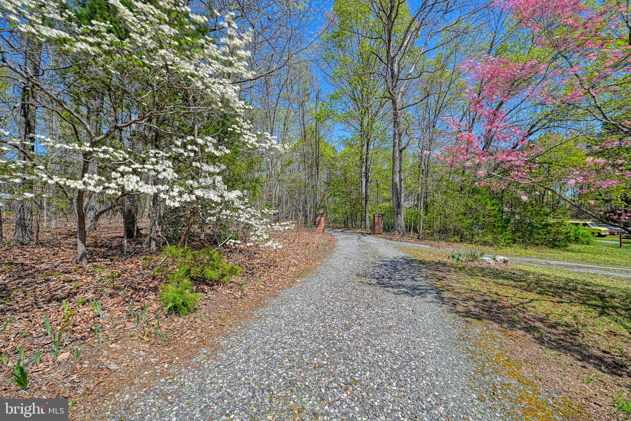517 Doctors Road Louisa, VA 23093 - Photo 62 of 83 a view of a yard with plants and trees