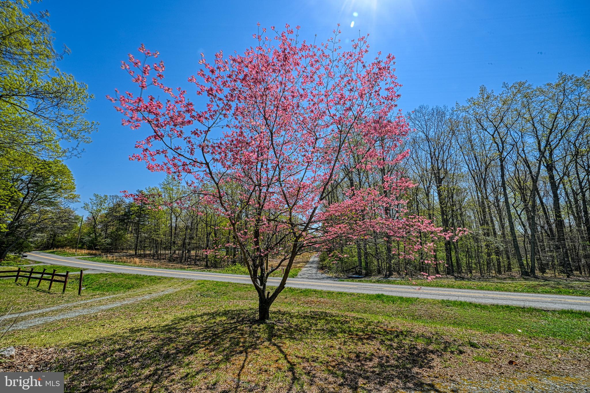 517 Doctors Road Louisa, VA 23093 - Photo 65 of 83 a view of a golf course with a trees