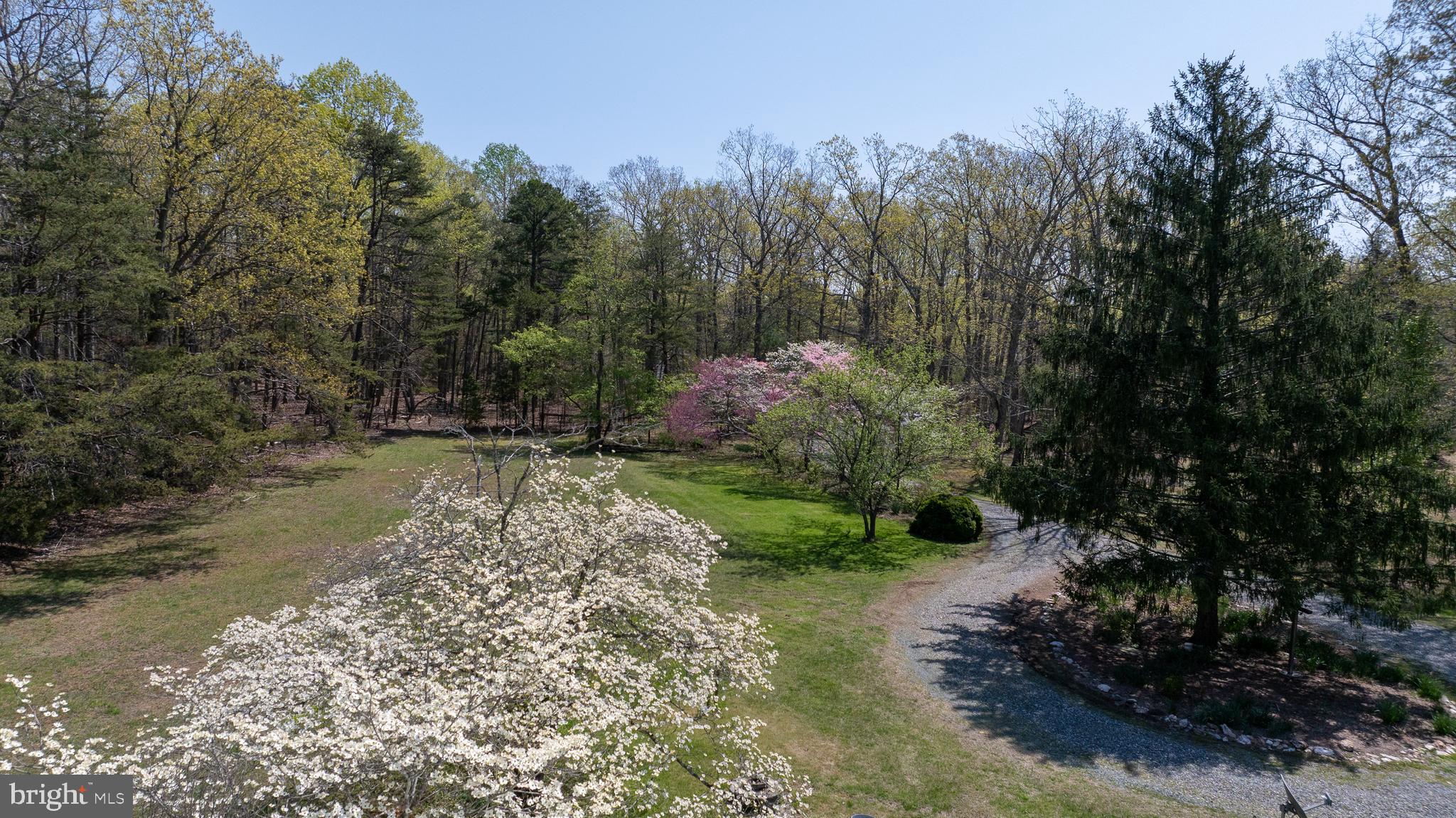 517 Doctors Road Louisa, VA 23093 - Photo 71 of 83 a view of a park with large trees